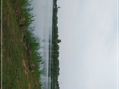 -漕湖湿地公园