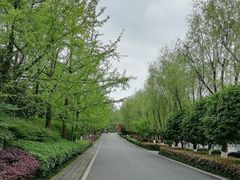 -重庆园博园