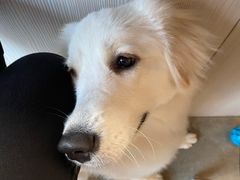 -尤加利咖啡馆