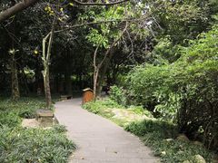 -成都市活水公园