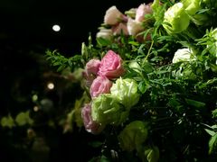 -春暖花开(西溪店)