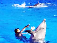 -上海海昌海洋公园