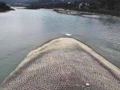 -都江堰中华大熊猫苑