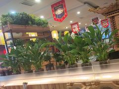 -大清花饺子(山庄店)