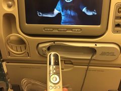-新加坡航空公司(ION)