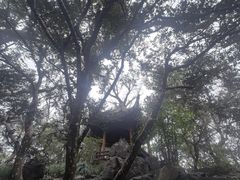 -秋霞圃