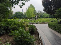 -迎泽公园