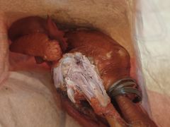 -沟帮子熏鸡(集团直营工厂店)