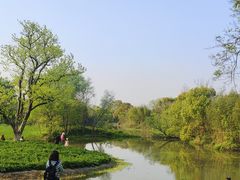 -西溪国家湿地公园