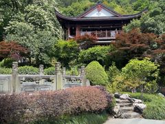 -十八棵（老龙井）御茶园(老龙井店)