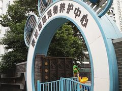 -奈斯宠物医院·核磁CT·异宠专科·内镜(中南店)
