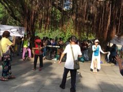 -屯门公园
