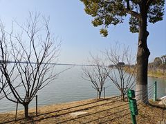 -漕湖湿地公园
