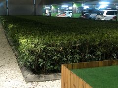 -上海虹桥国际机场1号航站楼-P2停车场