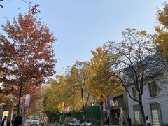 -湖北中医药大学(昙华林校区)