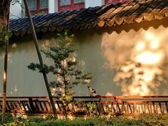 -复旦大学附属华山医院(总院)