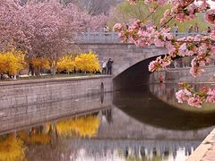 -元大都城垣遗址公园