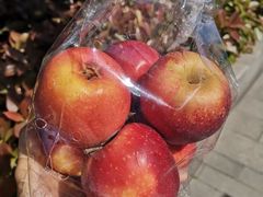 -绿地风尚天地广场