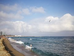 -小巴塞罗那海滩