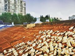 -普朗姆生蚝吧(原建国路店)