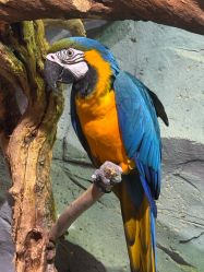 -Zoolung Zoolung动物主题公园(海信广场店)