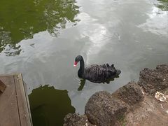 -海南热带野生动植物园
