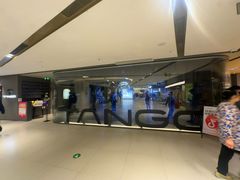 -TANGO LIVEHOUSE动感单车(巴黎春天店)