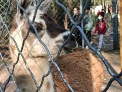 -长白岛森林公园