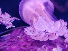 -欢乐海岸海洋奇梦馆