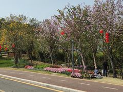 -梧桐山风景名胜区