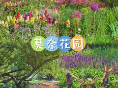 -海淀公园