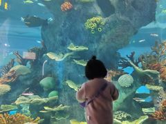 -福州罗源湾海洋世界旅游区