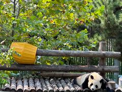 -大连森林动物园