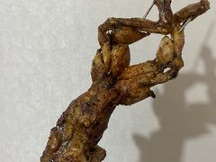 -野火鲜货烧烤(河边小院店)