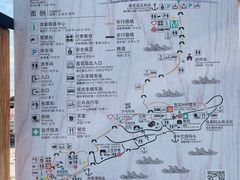 -莲花岛景区