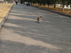 -定鼎门遗址博物馆