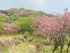 -四明山国家森林公园