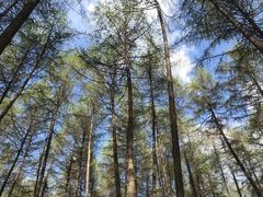 -硗碛藏寨·神木垒景区