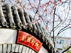 -桃花堤公园
