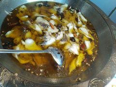 -雲蜀龙阁·金牌水煮鱼(方庄店)