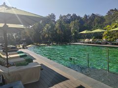 -四季酒店下午茶