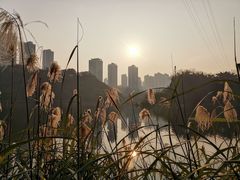 -重庆彩云湖湿地公园