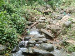-火炉山森林公园