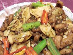 -黄海国家森林公园