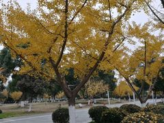 -苏州工学院(东湖校区)