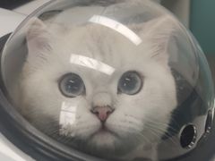 -萌兽医馆·眼科·异宠专科(三里屯店)