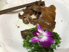 -龙悦湾酒家·八阵鱼生·渔人码头店