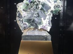 -中国地质大学逸夫博物馆