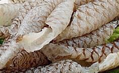 -章记正宗南岗鱼蛋火锅