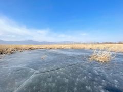 -野鸭湖国家湿地公园